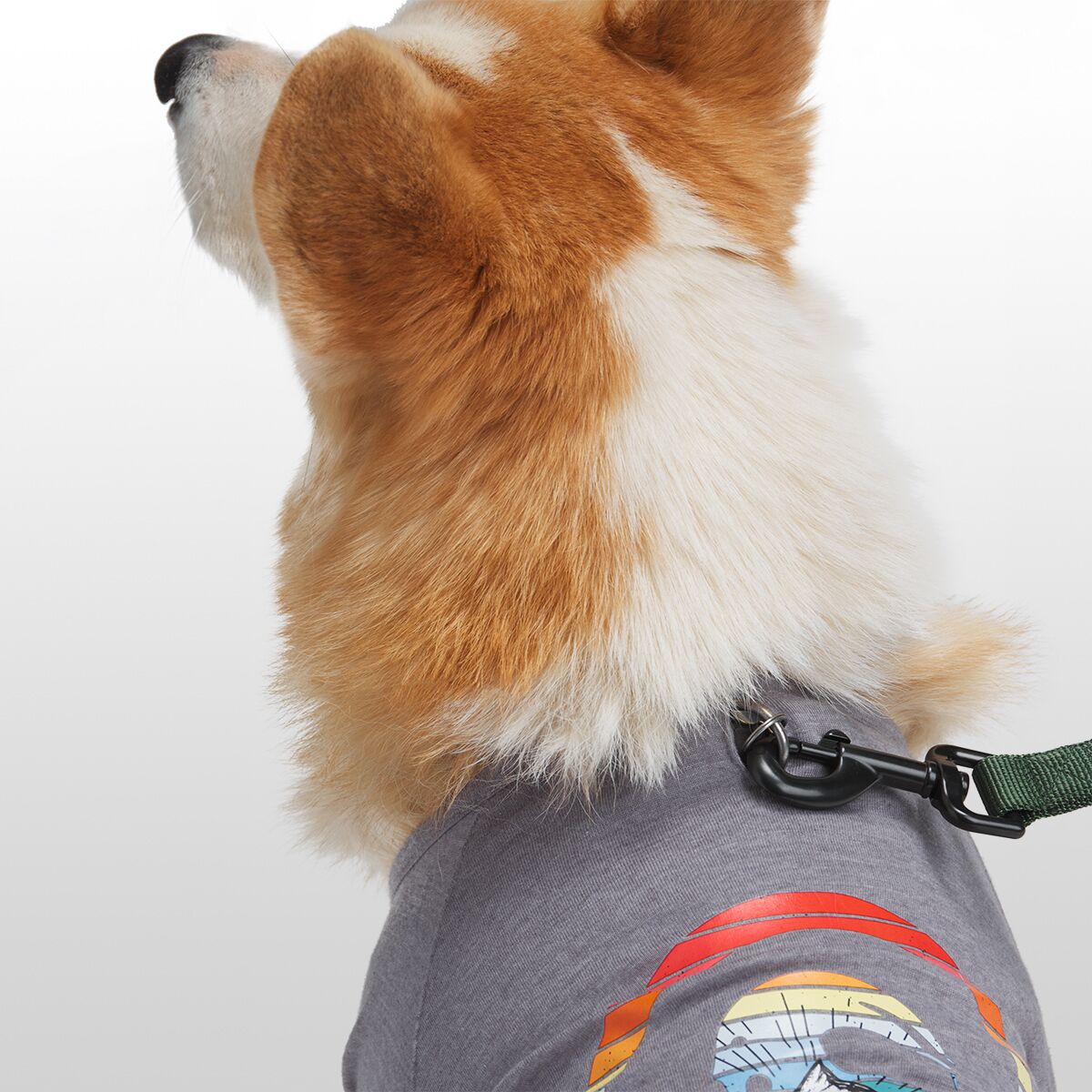 Backcountry x Petco The Sun Shield Dog TShirt Hike & Camp