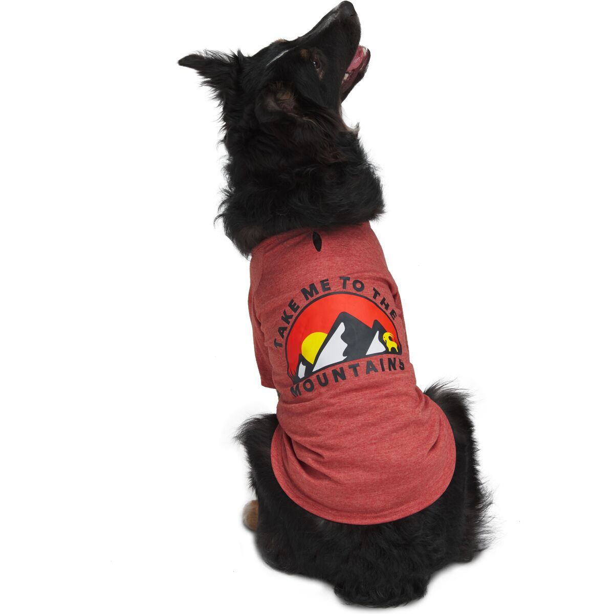 Backcountry x Petco The Sun Dog TShirt Hike & Camp