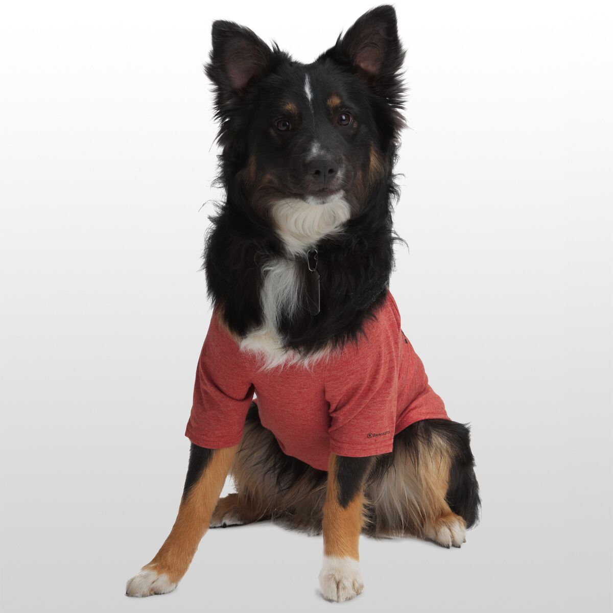 Backcountry x Petco The Sun Dog TShirt Hike & Camp