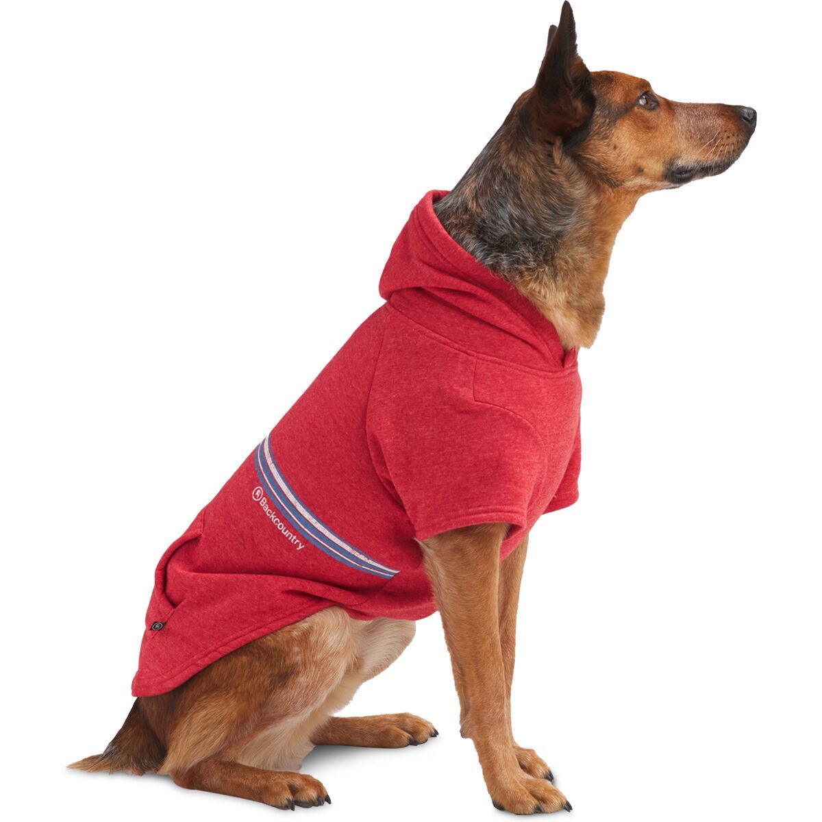 Backcountry x Petco The Hoodie Hike & Camp