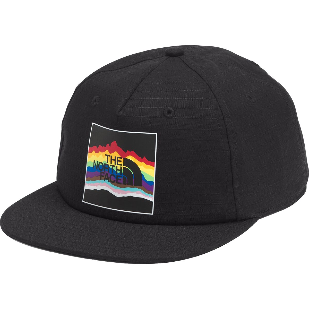 the north face plaskett ball cap
