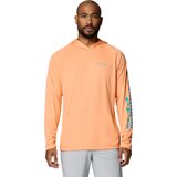 Bright Nectar/Ocean Teal Logo