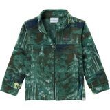 Rain Forest Deschutrees