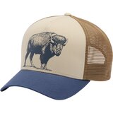 Nocturnal/Ancient Fossil/Buffalo