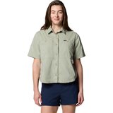 Safari