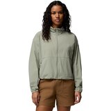 Safari