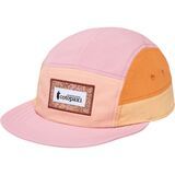 Apricot And Rose