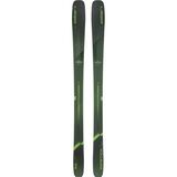 Dark Green/Green