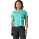 Dark Mint