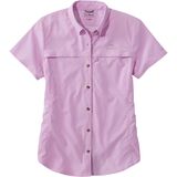 Mtn Lilac