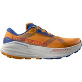 Apricot/Cobalt Blue
