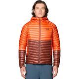 Aspect/Bourbon Brown