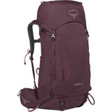 Elderberry Purple