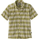 Sunlight: Graze Green