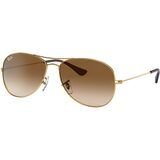 Arista/Clear Gradient Brown