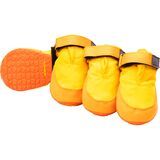 Sunrise Yellow