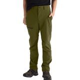 Forest Olive