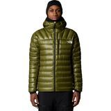 Forest Olive