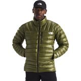 Forest Olive