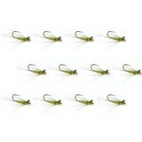 Olive2
