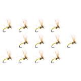 PMD