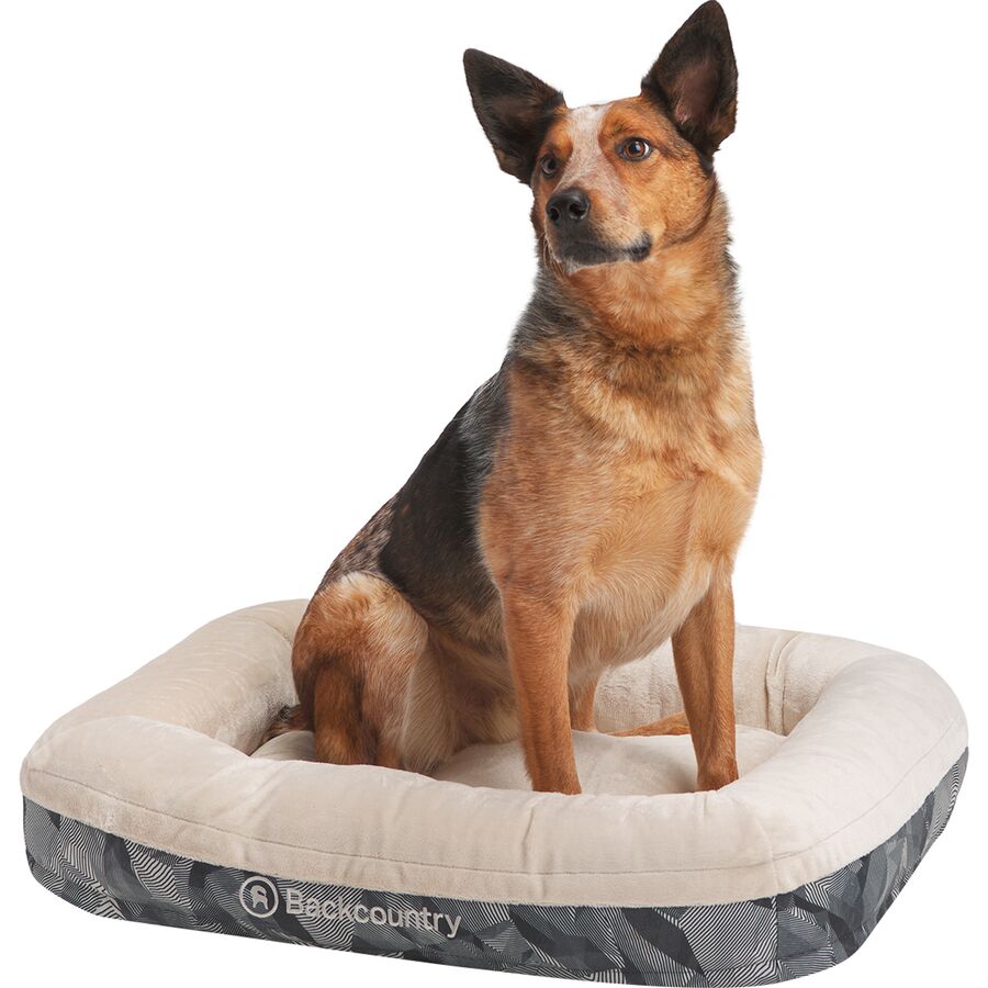 x Petco The Dog Bed