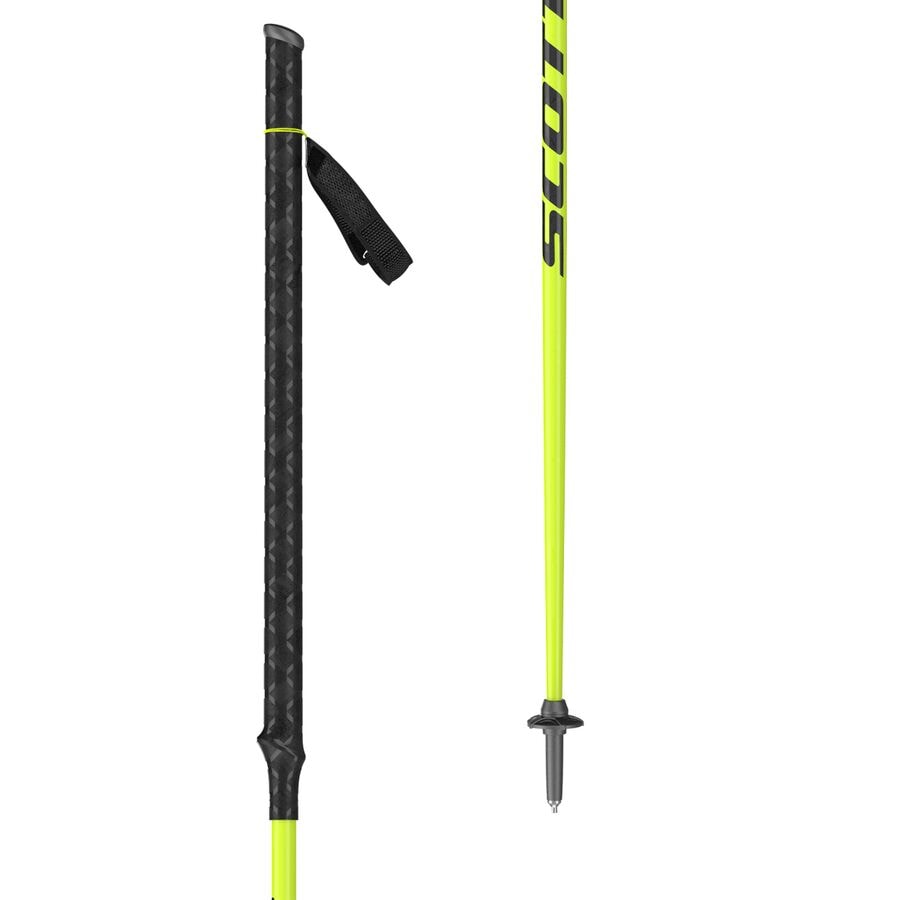 RC Pro Ski Poles