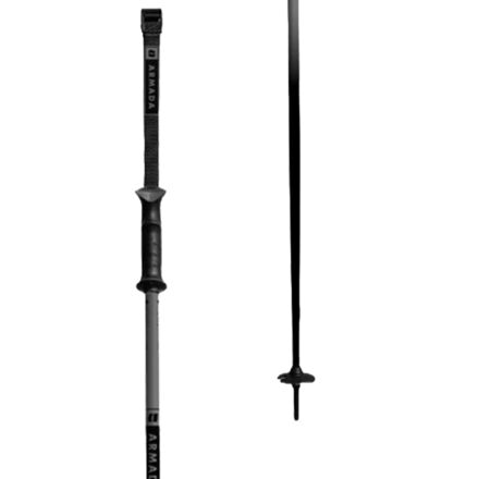 Triad Ski Poles