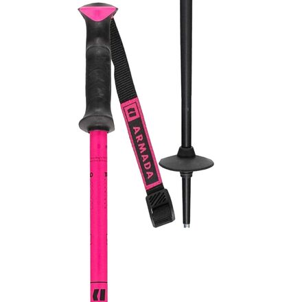 Triad Ski Poles
