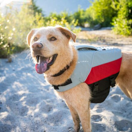 Astral - Bird Dog Life Jacket