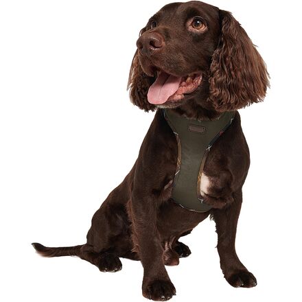 Barbour - Comfort Dog Harness