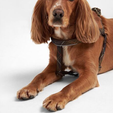 Barbour - Tartan 5-Way Adjustable Harness