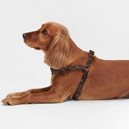 Barbour - Tartan 5-Way Adjustable Harness