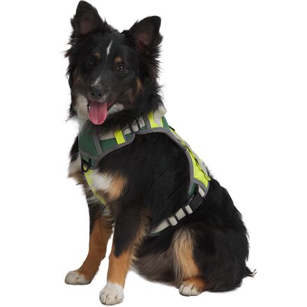 Backcountry - x Petco The Modular Dog Harness