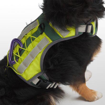 Backcountry - x Petco The Modular Dog Harness