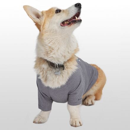 Backcountry - x Petco The Sun Shield Dog T-Shirt