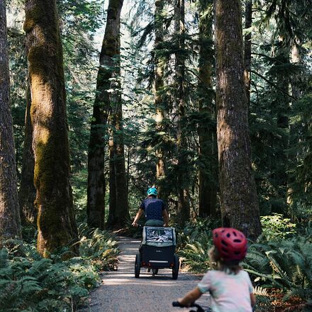 Burley - D'Lite X Stroller