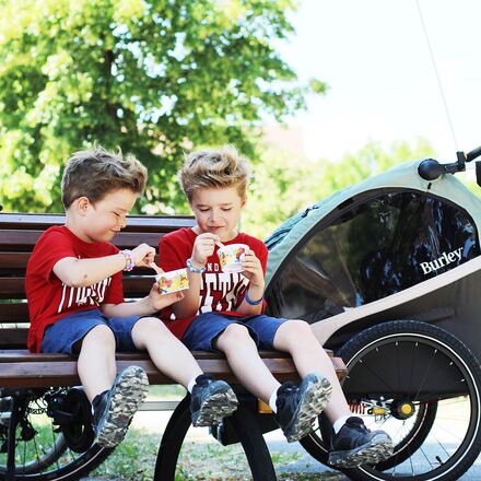 Burley - D'Lite X Stroller