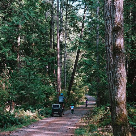 Burley - D'Lite X Stroller