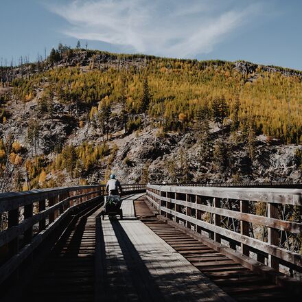 Burley - D'Lite X Stroller