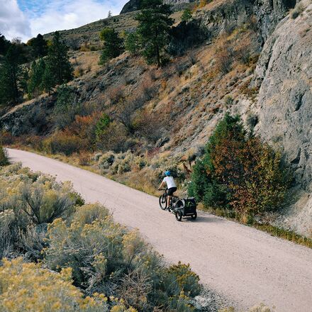 Burley - D'Lite X Stroller