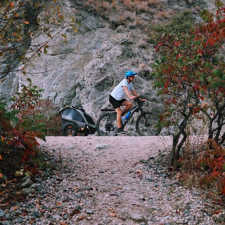 Burley - D'Lite X Stroller