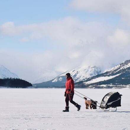 Burley - D'Lite X Stroller