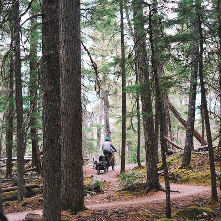 Burley - D'Lite X Stroller