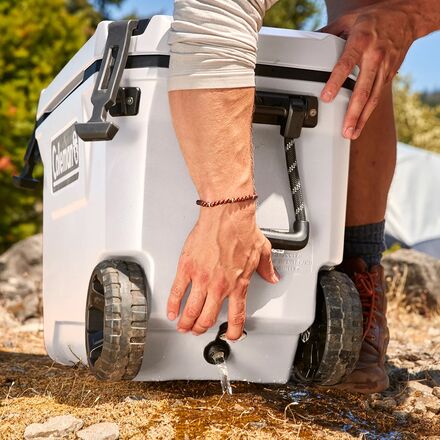 Coleman - 65Qt Convoy Cooler