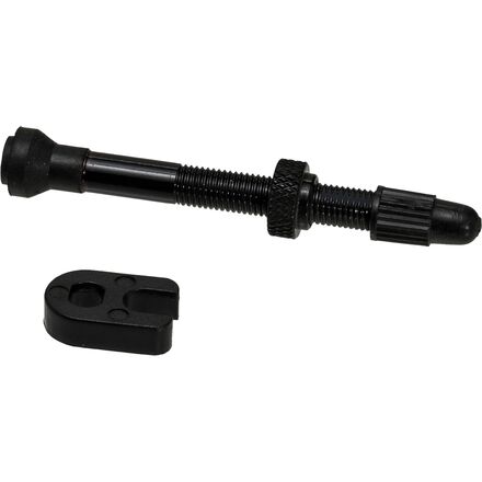 Tubeless Valve