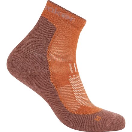 Merino Hike+ Light Mini Sock - Men's