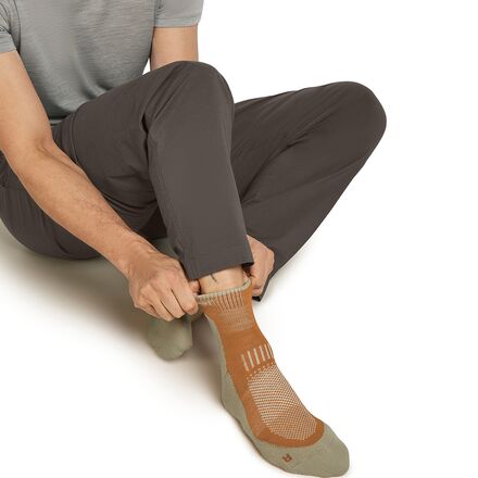 Icebreaker - Merino Hike+ Light Mini Sock - Men's