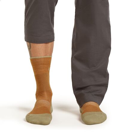 Icebreaker - Merino Hike+ Medium Crew Sock - Men's
