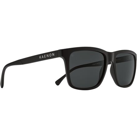 Venice Polarized Sunglasses